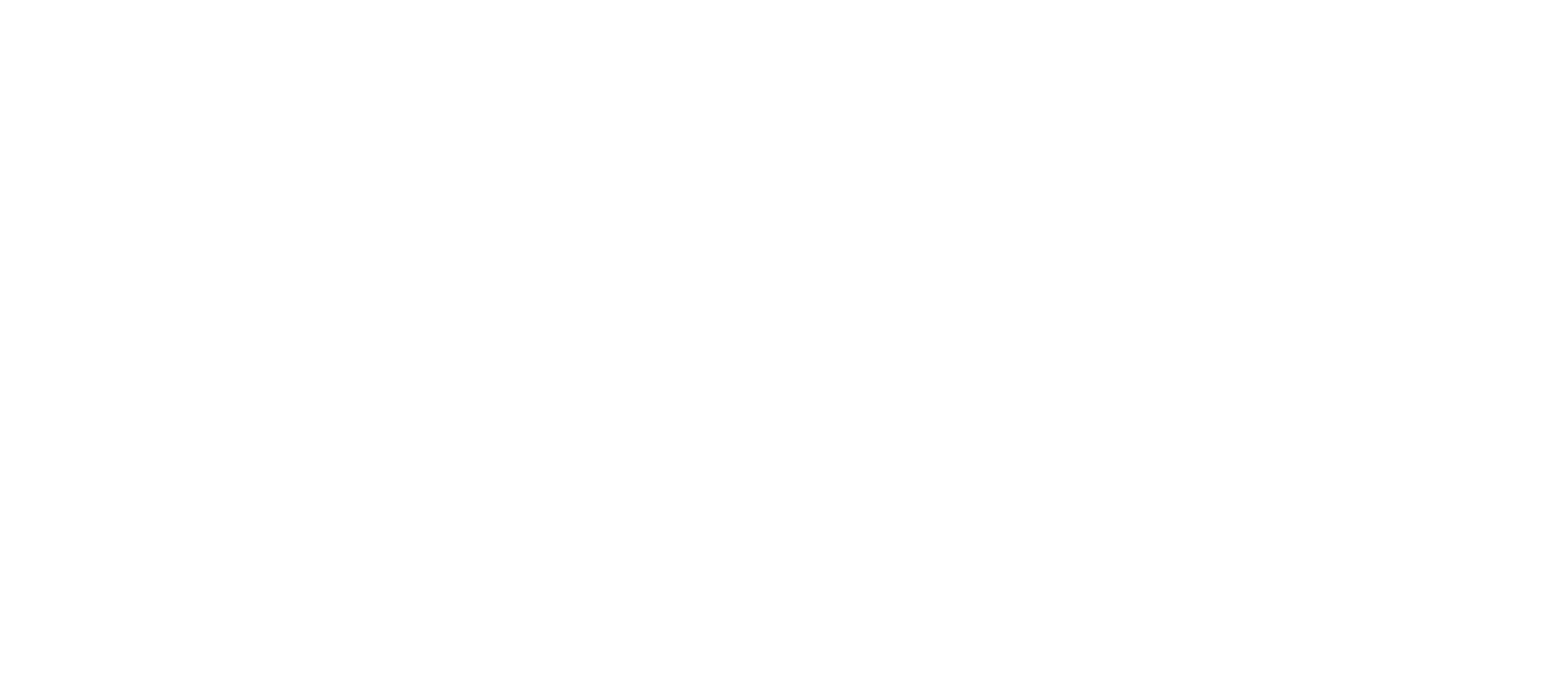 Werken bij SMT logo
